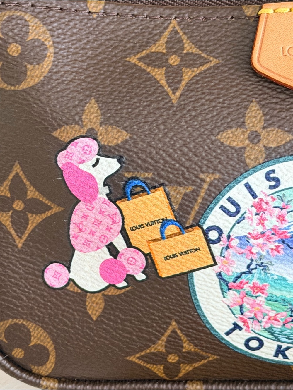 Louis Vuitton Mini Pochette Accessoires - Picture 8 of 9